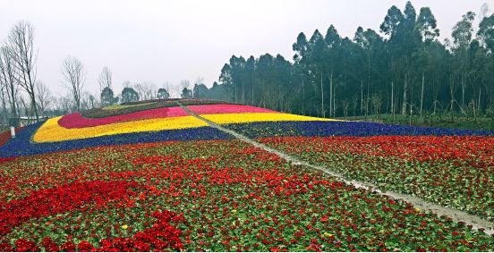 EVO视讯·(中国游)官方网站