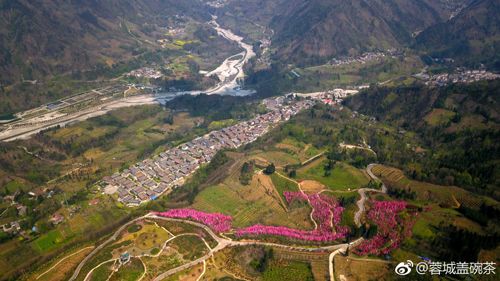 EVO视讯·(中国游)官方网站