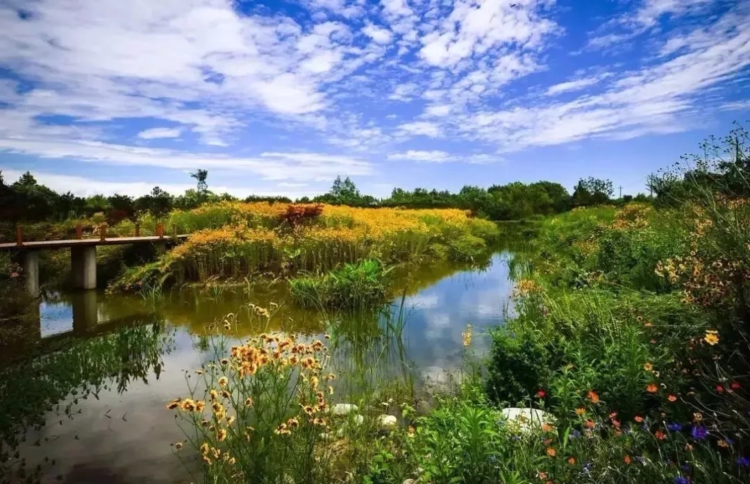 EVO视讯·(中国游)官方网站