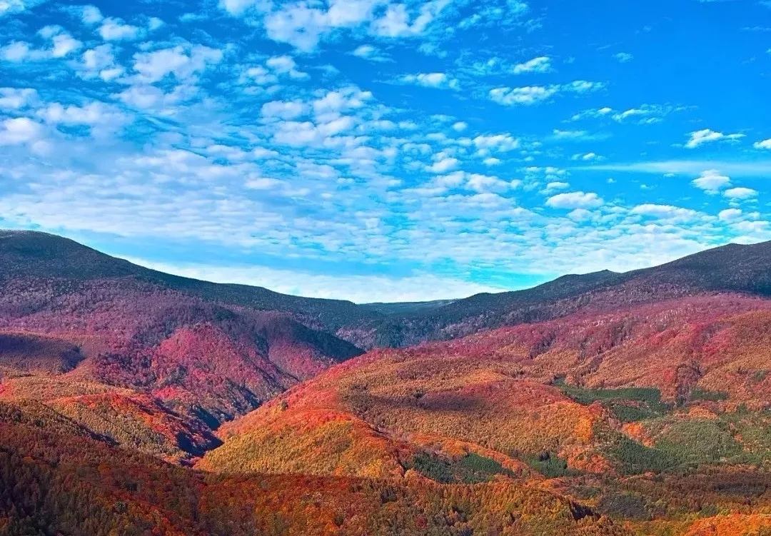 EVO视讯·(中国游)官方网站