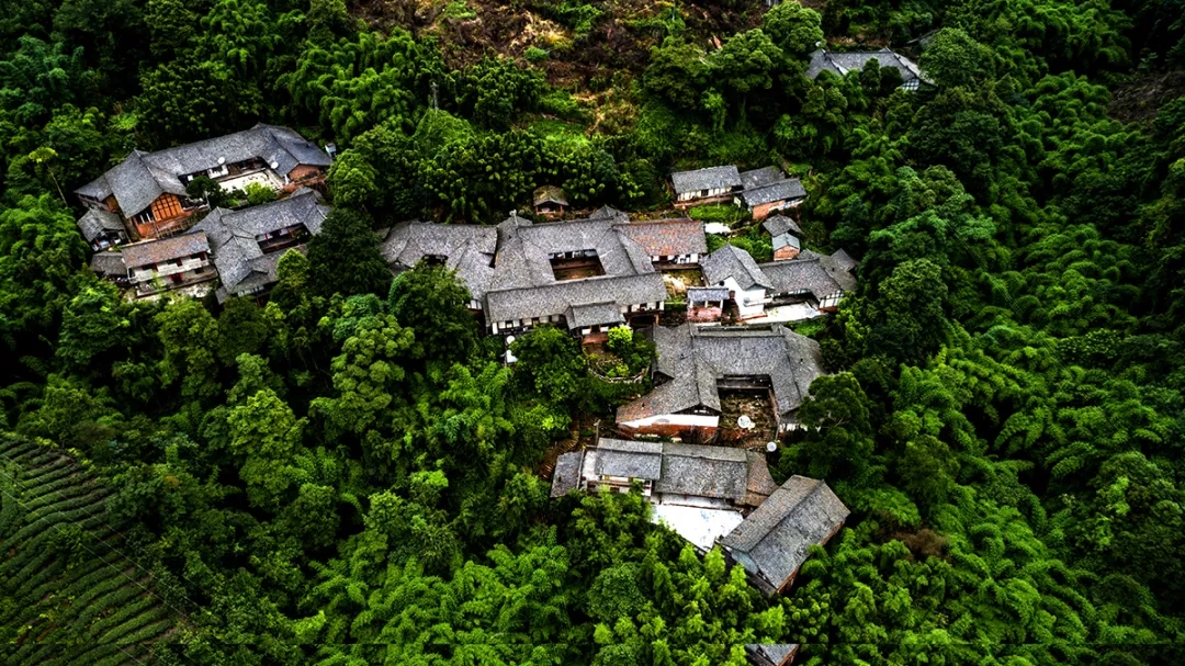 EVO视讯·(中国游)官方网站