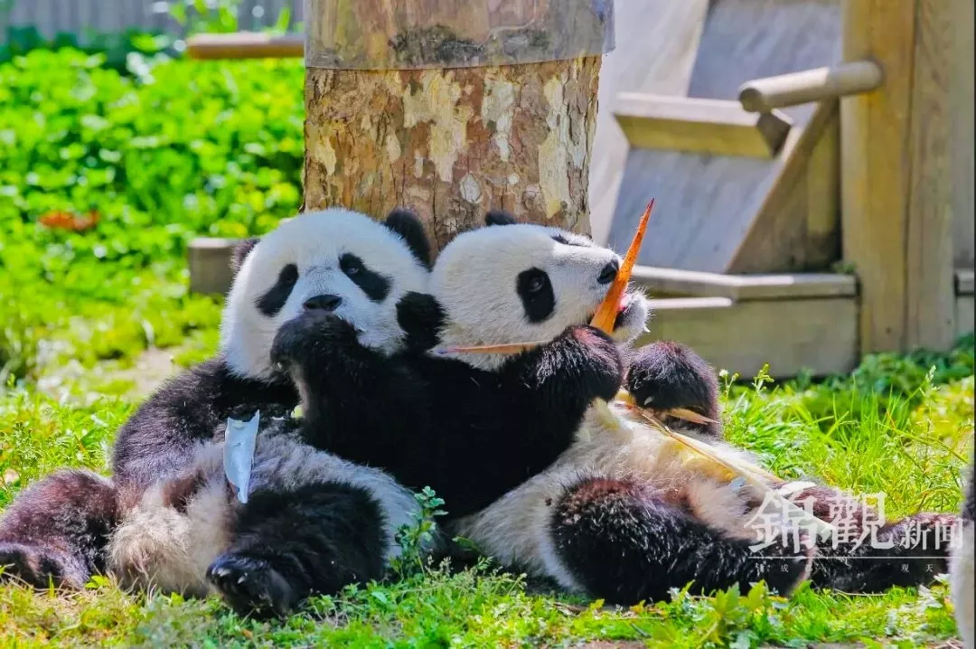 EVO视讯·(中国游)官方网站