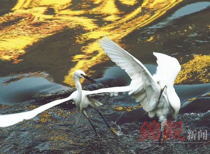 EVO视讯·(中国游)官方网站