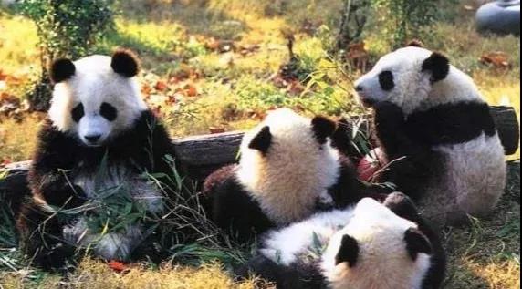 EVO视讯·(中国游)官方网站