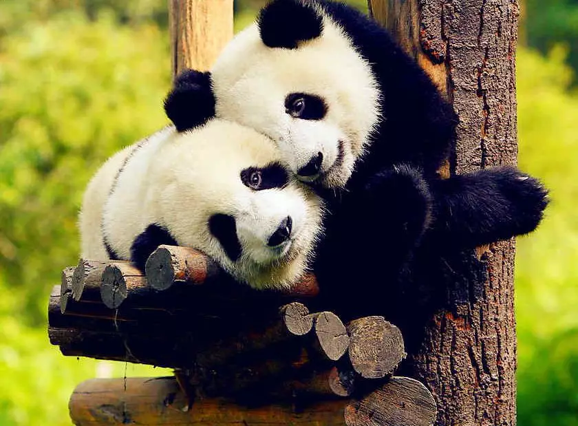 EVO视讯·(中国游)官方网站