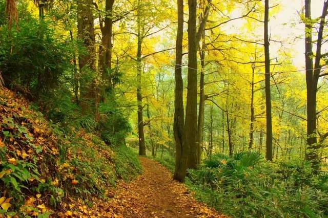 EVO视讯·(中国游)官方网站