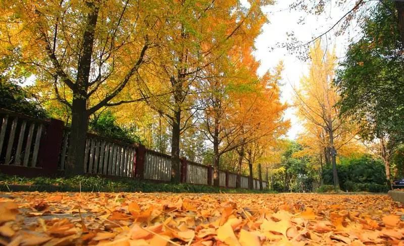 EVO视讯·(中国游)官方网站