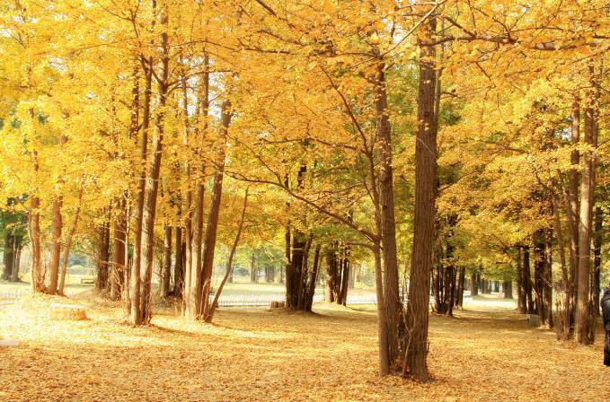 EVO视讯·(中国游)官方网站