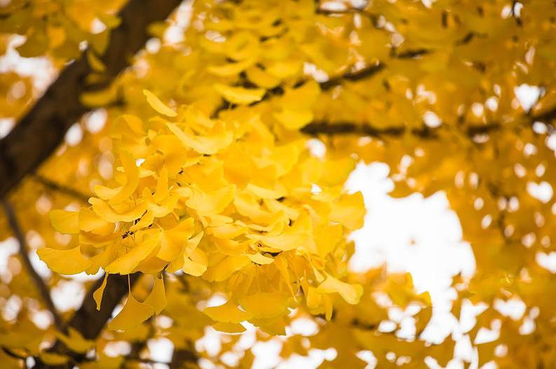 EVO视讯·(中国游)官方网站