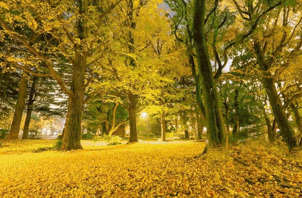 EVO视讯·(中国游)官方网站