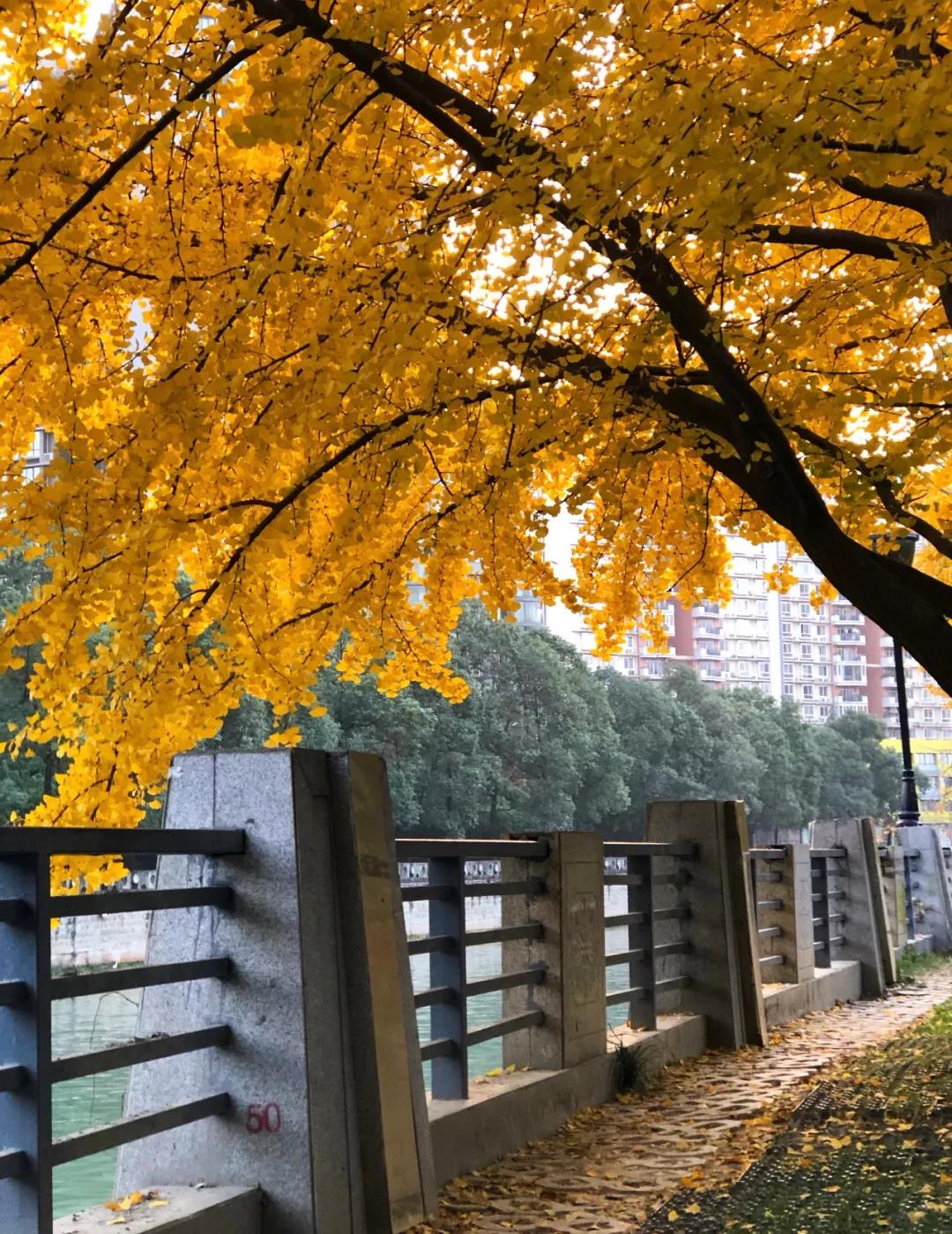 EVO视讯·(中国游)官方网站