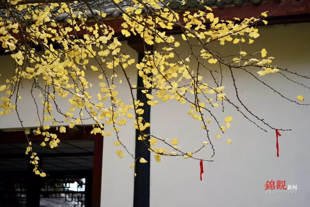 EVO视讯·(中国游)官方网站