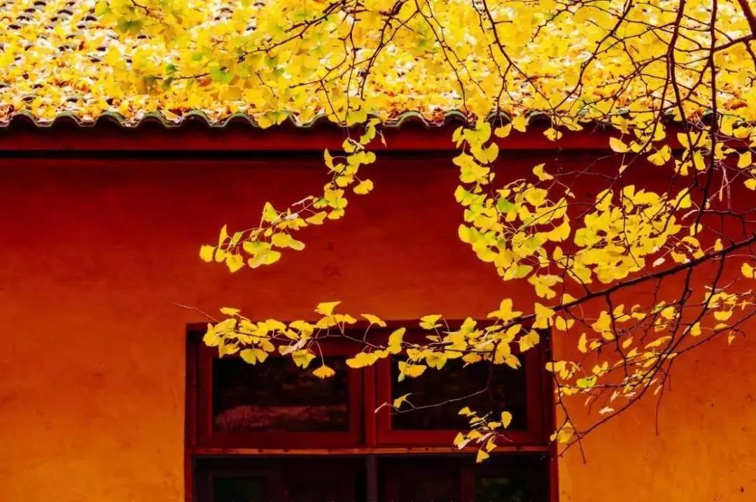 EVO视讯·(中国游)官方网站