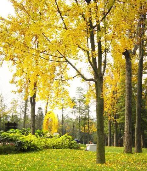 EVO视讯·(中国游)官方网站