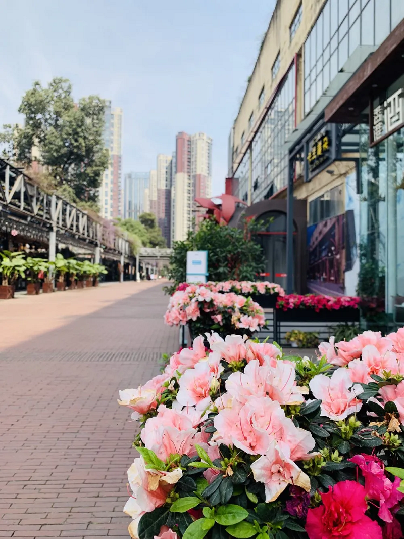 EVO视讯·(中国游)官方网站