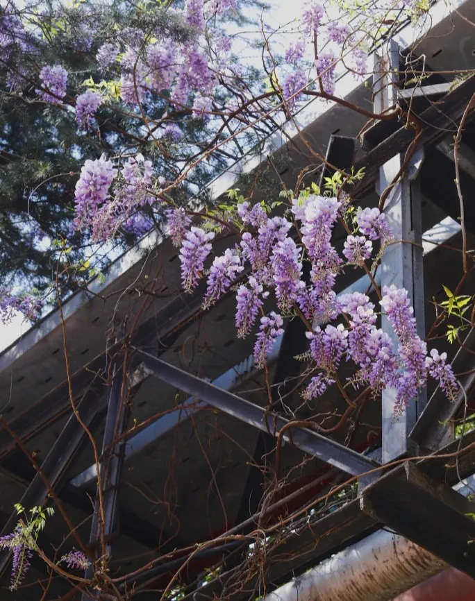 EVO视讯·(中国游)官方网站