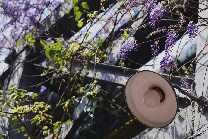 EVO视讯·(中国游)官方网站