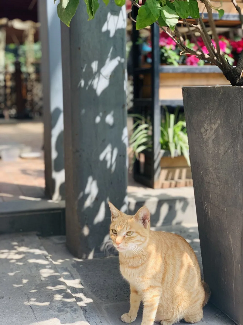 EVO视讯·(中国游)官方网站