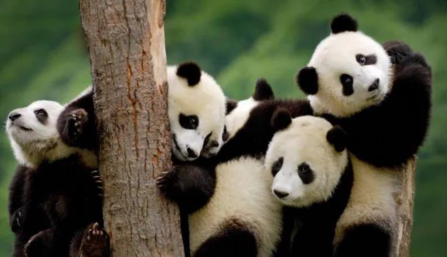 EVO视讯·(中国游)官方网站