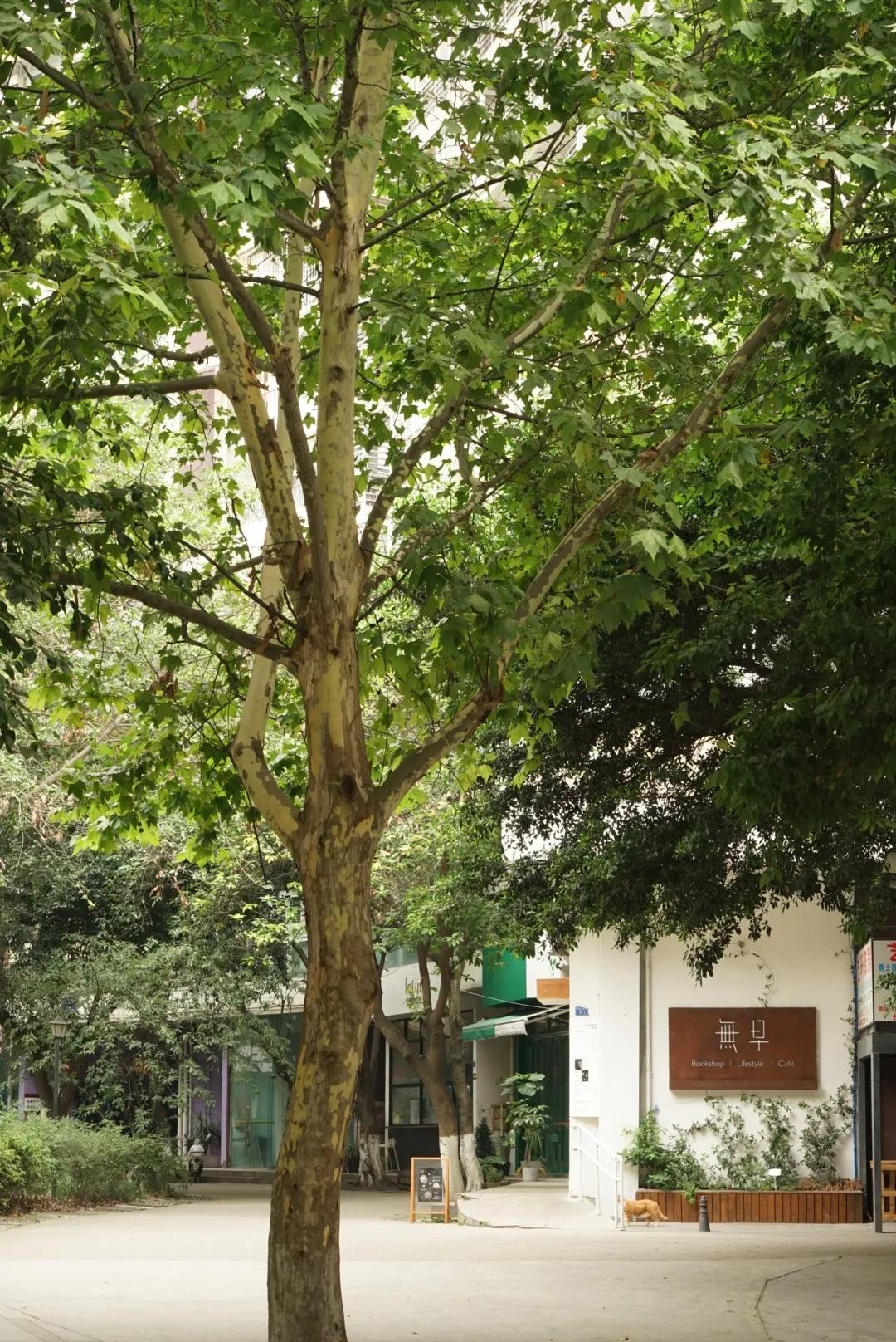 EVO视讯·(中国游)官方网站