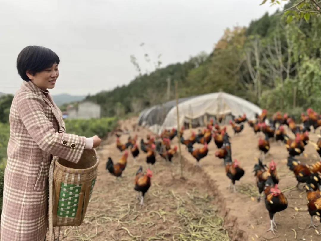 EVO视讯·(中国游)官方网站