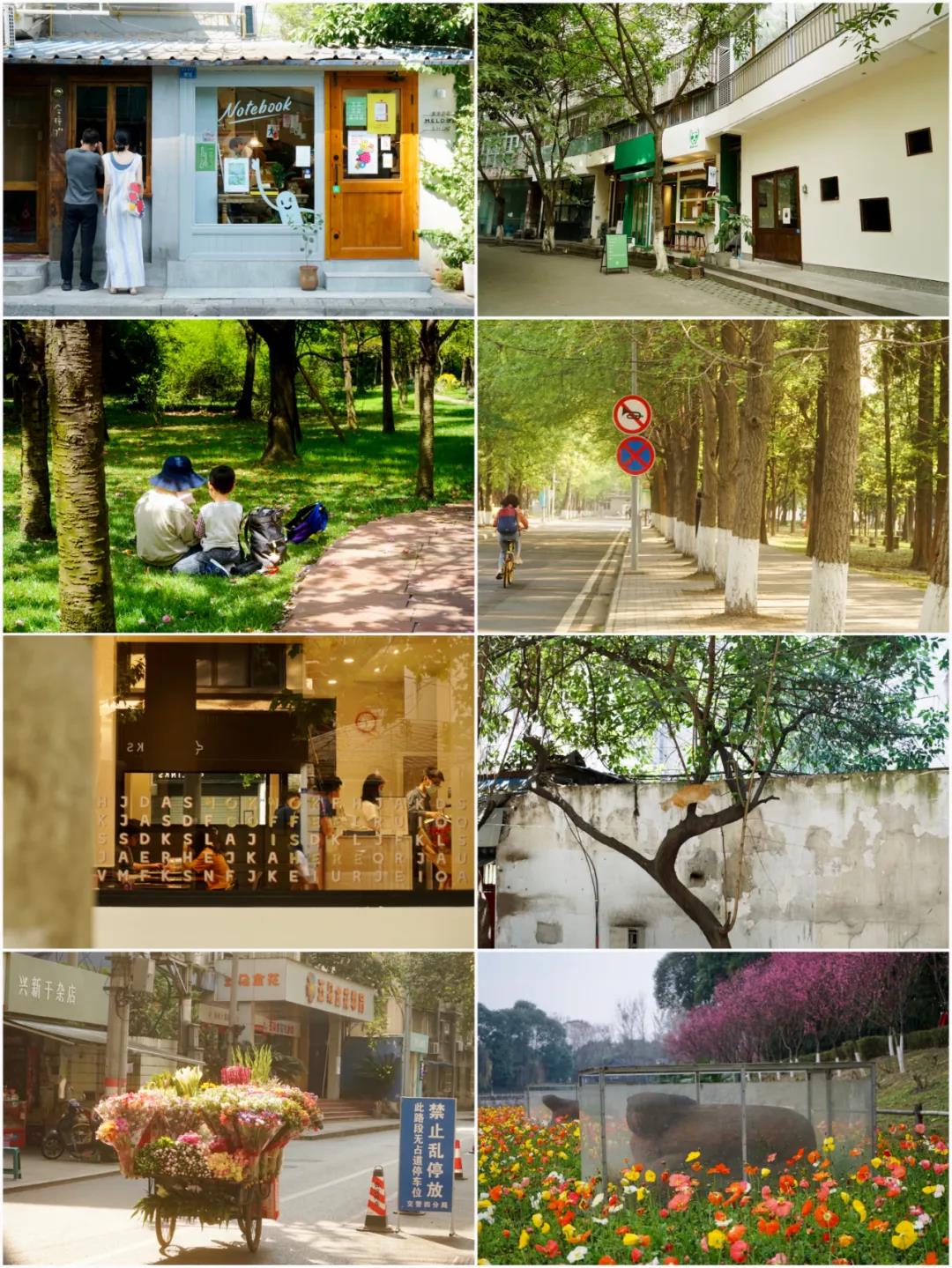 EVO视讯·(中国游)官方网站