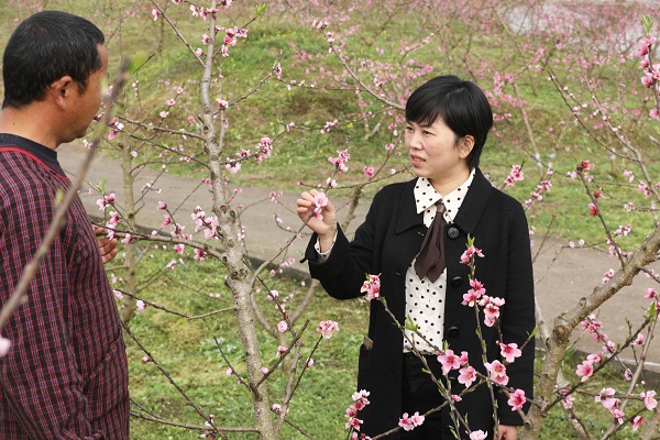 EVO视讯·(中国游)官方网站