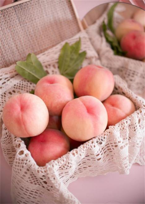 EVO视讯·(中国游)官方网站