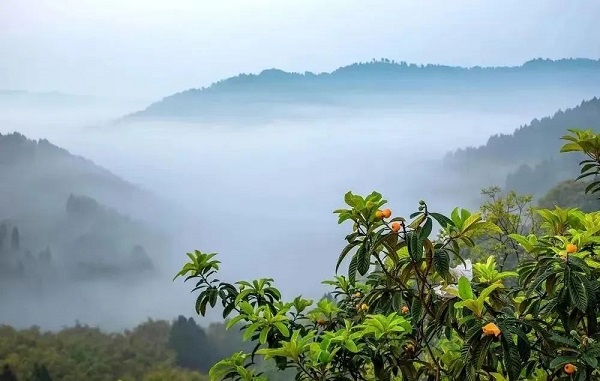 EVO视讯·(中国游)官方网站