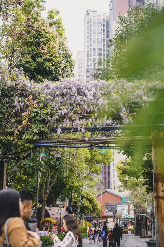 EVO视讯·(中国游)官方网站